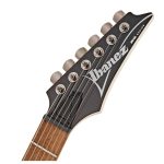 ელექტრო გიტარა IBANEZ RG421-MOL El.Guitar (Mahogany Oil) - Image 3