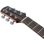 აკუსტიკური გიტარა Ibanez AAD50-TCB - Image 3