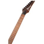 ელექტრო გიტარა IBANEZ RG7421 WNF HH electric guitar (Walnut natural flat) - Image 3
