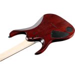 ელექტრო გიტარა IBANEZ RGA42FM DEF electric guitar (Dragon eye burst flat) - Image 2