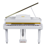 ელექტრო როიალი SONATE XR polish WH
Hammer Action Keyboard