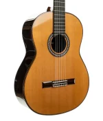 კლასიკური გიტარა CORDOBA C10 CD W/C - Image 3