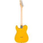 ელექტრო გიტარა FENDER Standard Tele, Maple Fingerb, Black Pickguard, Butterscotch Blonde - Image 2