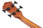 ელექტრო აკუსტიკური ბას გიტარა IBANEZ AEGB24E-MHS Ac. Bass (Mahogany Sunburst High Gloss) - Image 4