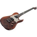 ელექტრო გიტარა SOLAR T1.6D  aged natural matte - Image 2