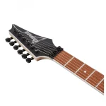 ელექტრო გიტარა IBANEZ RG420EX-BKF El.Guitar (Black Flat) - Image 4